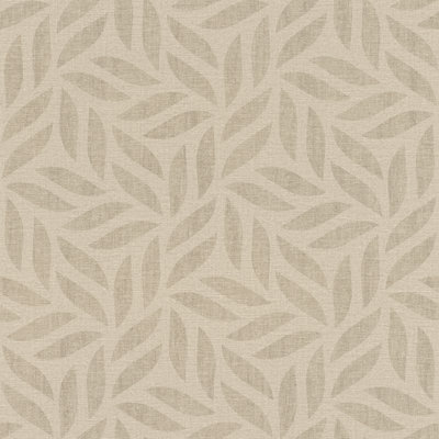 Rasch Kalahari 704648
