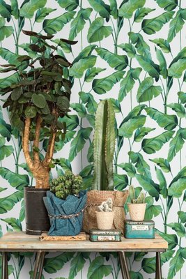 BN Wallcoverings On The Spot 219350
