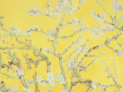 BN Van Gogh 17143
