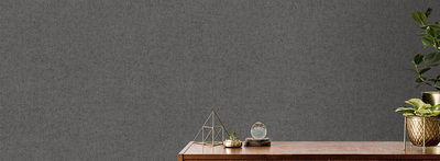 Dutch Wallcoverings Couleurs II / Onyx M356-19