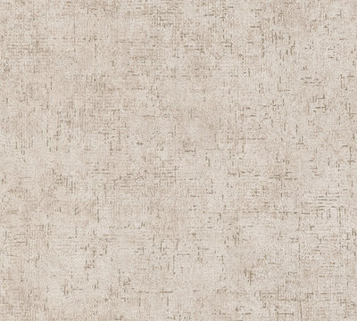 AS Creation Trendwall 2 -  38089-7 / 380897 Beige Beton