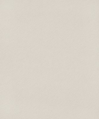 Noordwand Dune 32502 Beige