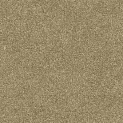 HookedOnWalls TAHITI LEATHER PLAIN TA25022 (Met Gratis Lijm!)