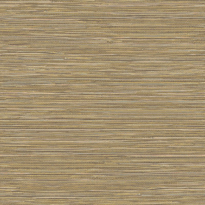 HookedOnWalls TAHITI GRASSCLOTH TA25042 (Met Gratis Lijm!)