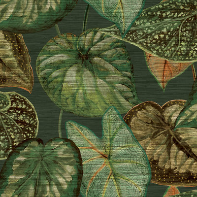 HookedOnWalls TAHITI TROPICAL LEAVES TA25054 (Met Gratis Lijm!)