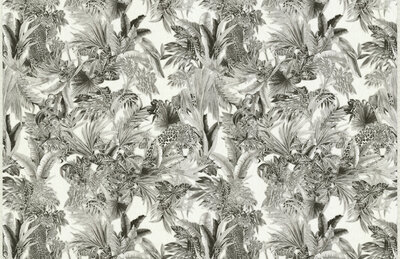 Dutch First Class Roberto Cavalli 7 18006 (*Gratis Lijm)