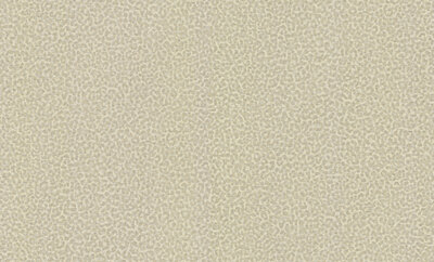 Dutch First Class Roberto Cavalli 8 19021 (*Gratis Lijm)