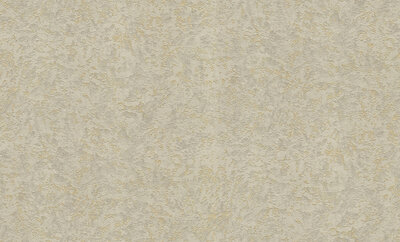 Dutch First Class Roberto Cavalli 8 19061 (*Gratis Lijm)