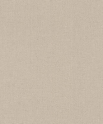 Rasch Barbara Home Collection III 560077