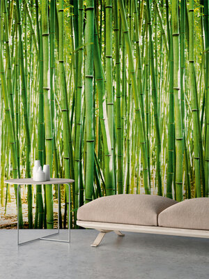 Dutch Wallcoverings One Roll One Motif A36901 Bamboo