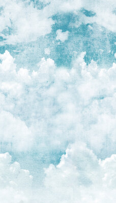 Dutch Wallcoverings One Roll One Motif A42501 Blue Clouds