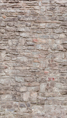 Dutch Wallcoverings One Roll One Motif A51701 Castle Wall beige