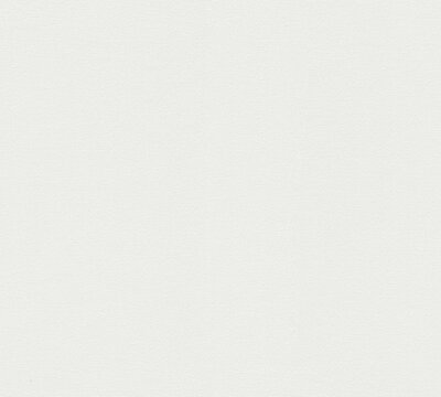 AS Creation 111 Shades of White 2117-98 / 211798