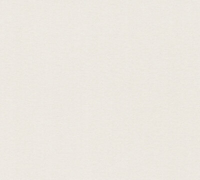 AS Creation 111 Shades of White 30486-3 / 304863