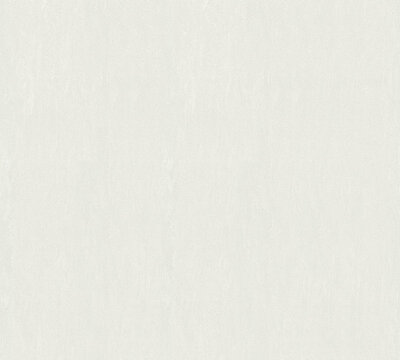 AS Creation 111 Shades of White 3607-17 / 360717