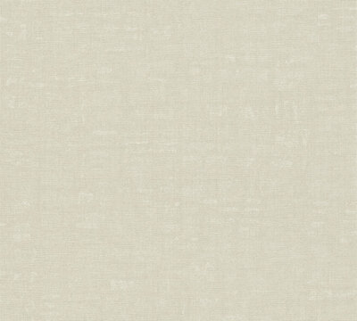 AS Creation Nara 38745-2 / 387452 Lichtgrijs