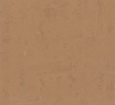 HookedOnWalls Terra Cotta 42118 (Met Gratis Lijm!)