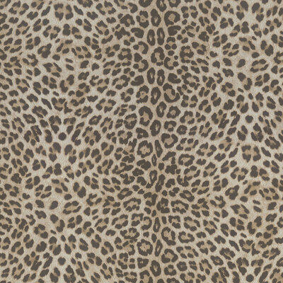 Dutch Wall Decor Philipp Plein Z80038