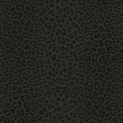 Dutch Wall Decor Philipp Plein Z80042