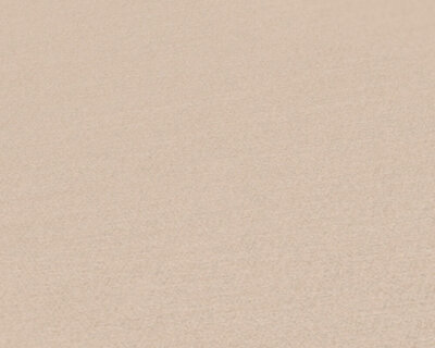 AS Creation Antigua 39097-1 / 390971 Beige