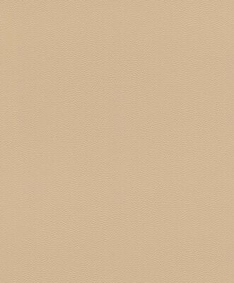 Rasch African Queen 3 - 752694 Beige