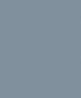 BN Wallcoverings Monochrome 221438 (Met Gratis Lijm*) Blauw