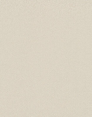 Dutch Wall Decor Erismann Elle Decoration 3 10335-14 Creme