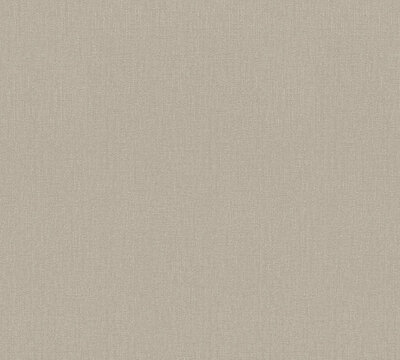 AS Creation Terra - 2117-12 / 211712 Grijs / Taupe