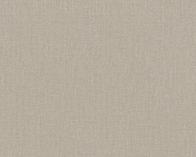 AS Creation Terra - 2117-12 / 211712 Grijs / Taupe