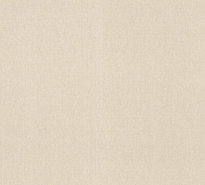 AS Creation Terra - 2117-67 / 211767 Beige