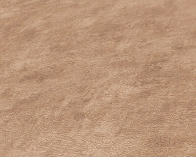 AS Creation Terra - 38922-9 - 389229 Beige / Bruin