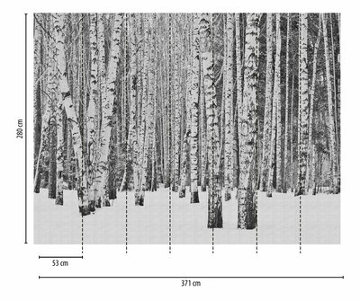 AS Creation The Wall Zwart - 38259-1 / 382591