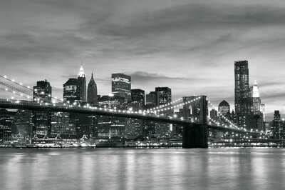 FBK New York Fotobehang 011