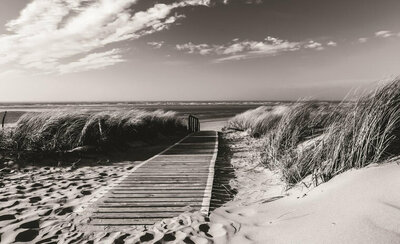 FBK Landschap Fotobehang 1022