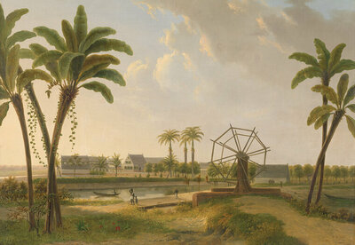 FBK Rijksmuseum Gezicht op de Koffieplantage Suriname Willem De Klerk RM29 (Met Gratis Lijm)