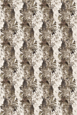 Santorus II Santorus The Ravens Ivory WP120441 (*Met Gratis Lijm!)