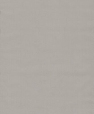 BN Wallcoverings Riviera Maison 3 - 18347 (Met Gratis Lijm*) - Grijs