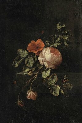 Esta Blush 158884 (*Gratis Lijm Actie) - Zwart - Rood