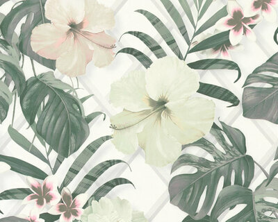 AS Creation Michalsky Dream Again 36518-2 - Groen / Creme