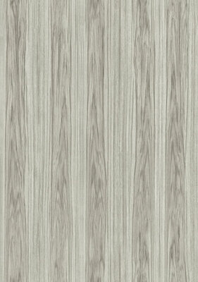 Arte Ligna 42052 (Incl. Gratis Lijm*)