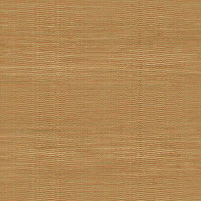 Arte Cantala 48507 (Incl. Gratis Lijm*)