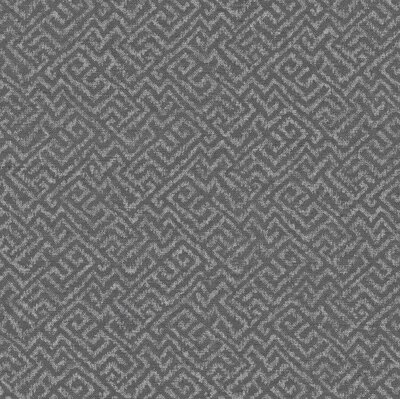 BN Wallcoverings Grounded 220655 - antraciet