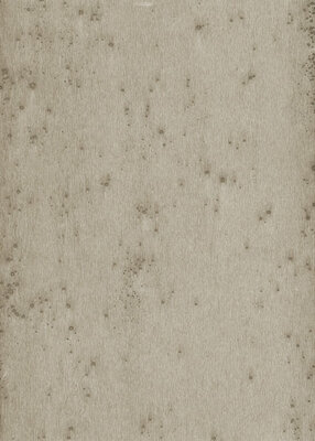 Arte LUSH STELLAR 37508A (Incl. Gratis Lijm*)