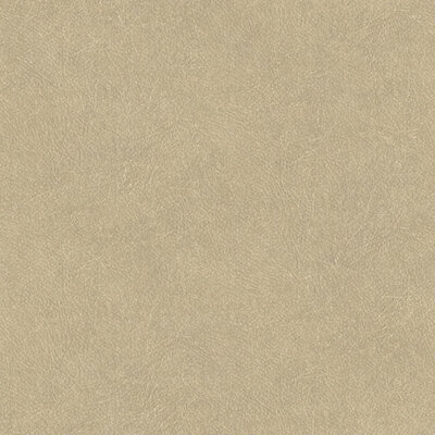 HookedOnWalls TAHITI LEATHER PLAIN TA25021 (Met Gratis Lijm!)