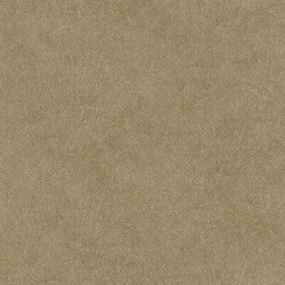 HookedOnWalls TAHITI LEATHER PLAIN TA25022 (Met Gratis Lijm!)