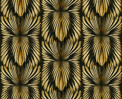Dutch First Class Roberto Cavalli 8 19001 (*Gratis Lijm)
