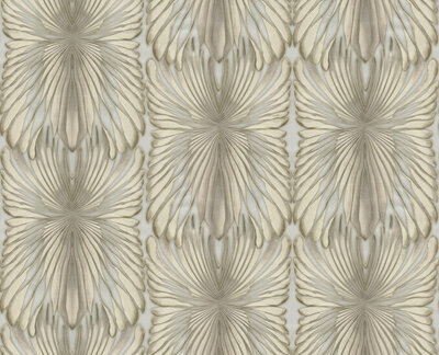 Dutch First Class Roberto Cavalli 8 19008 (*Gratis Lijm)