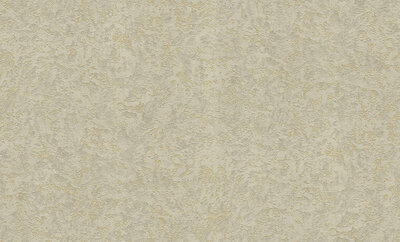 Dutch First Class Roberto Cavalli 8 19061 (*Gratis Lijm)