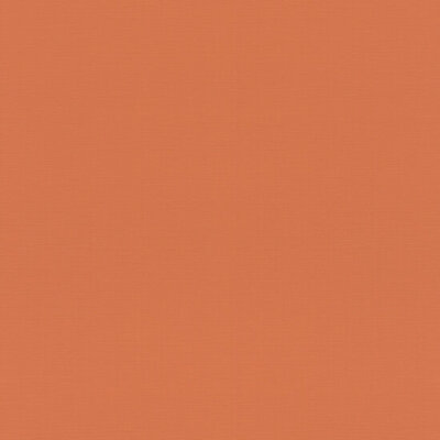 Rasch Tropical House / Allegretto 687569