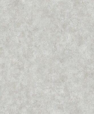 Dutch Wallcoverings Structures M550-19 grijs